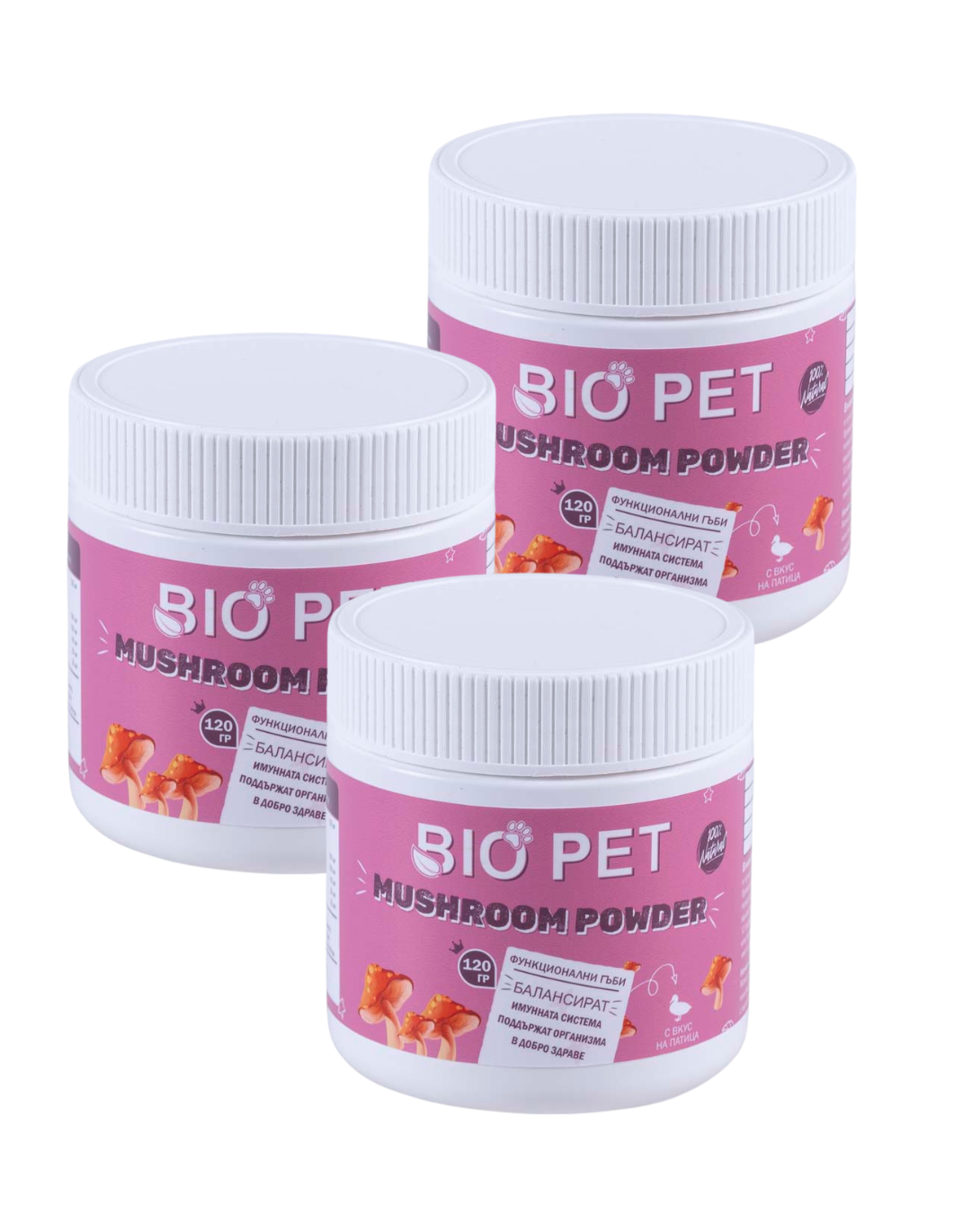 Mushroom Powder – 120 g
