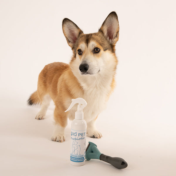 Bio_Pet__182.jpg
