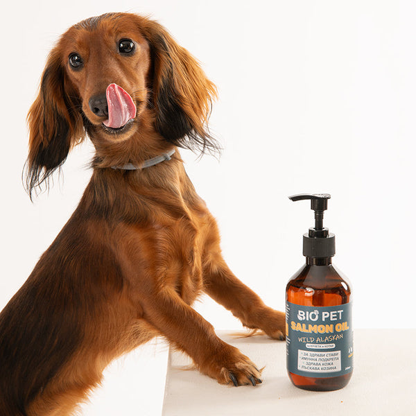 Bio_Pet__38_5a728062-d005-45d7-9dd0-0adfcb6de542.jpg