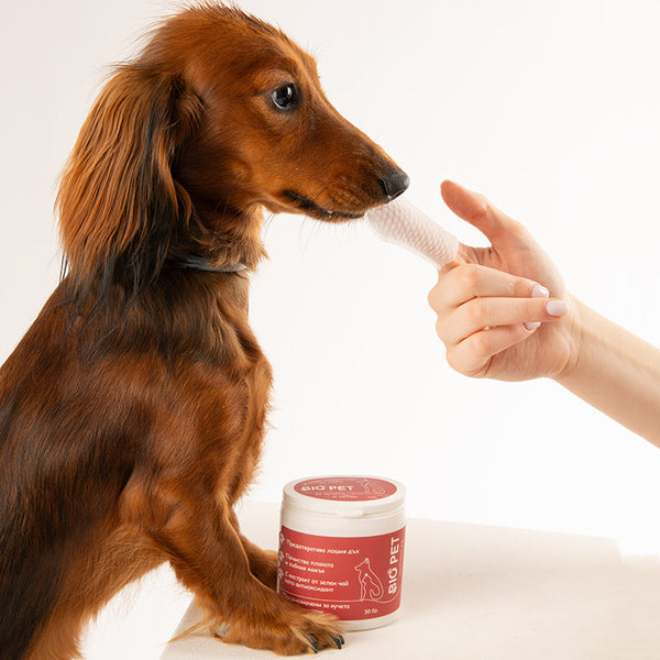 Bio_Pet__86_eeb50547-4caa-4523-aa2e-9828ecf3c0b9.jpg