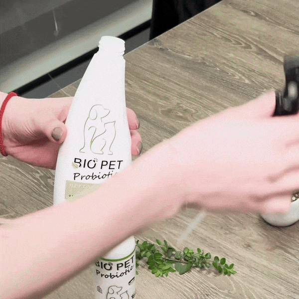 step3-ezgif.com-optimize.gif