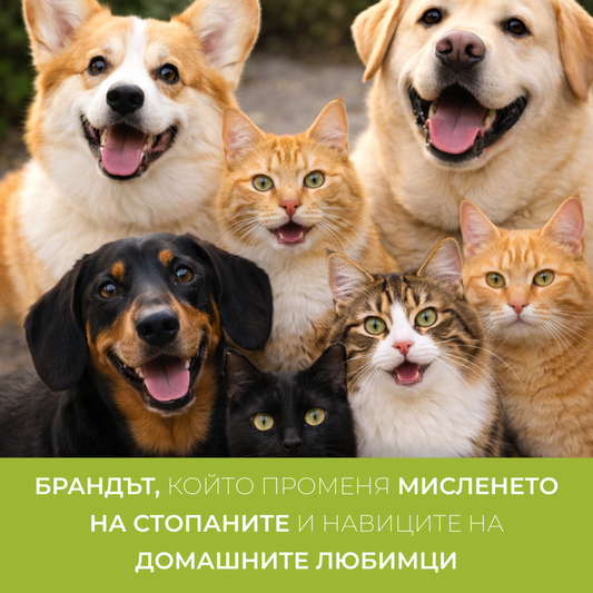 Brandul care schimbă mentalitatea proprietarilor de animale de companie și obiceiurile animalelor de companie