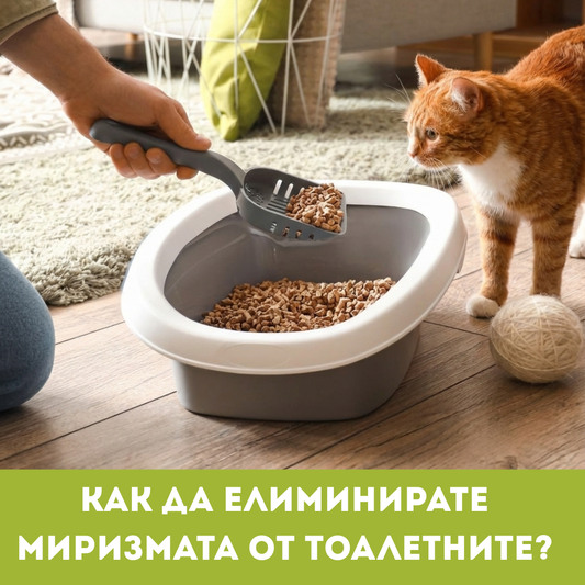 Cum să eliminați mirosurile neplăcute din toaletele animalelor de companie
