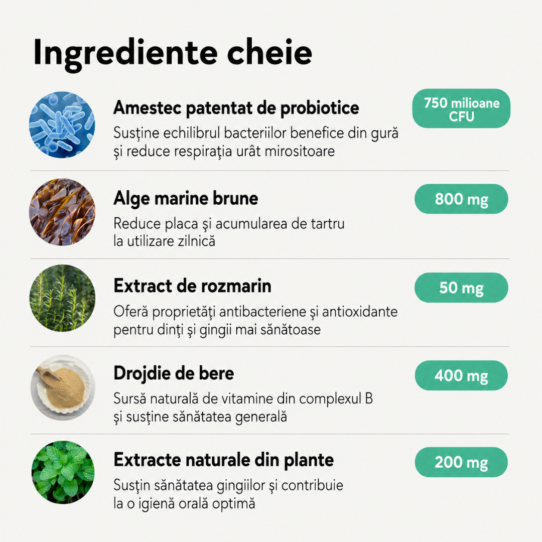 Set complet pentru igiena orală a câinilor și pisicilor