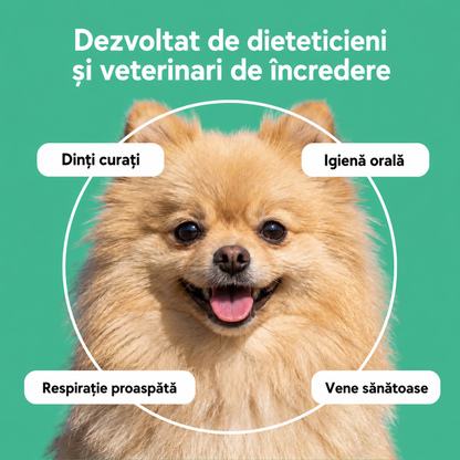 Set complet pentru igiena orală a câinilor și pisicilor