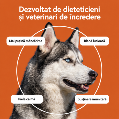 Set complet pentru îngrijirea pielii și a blănii câinilor