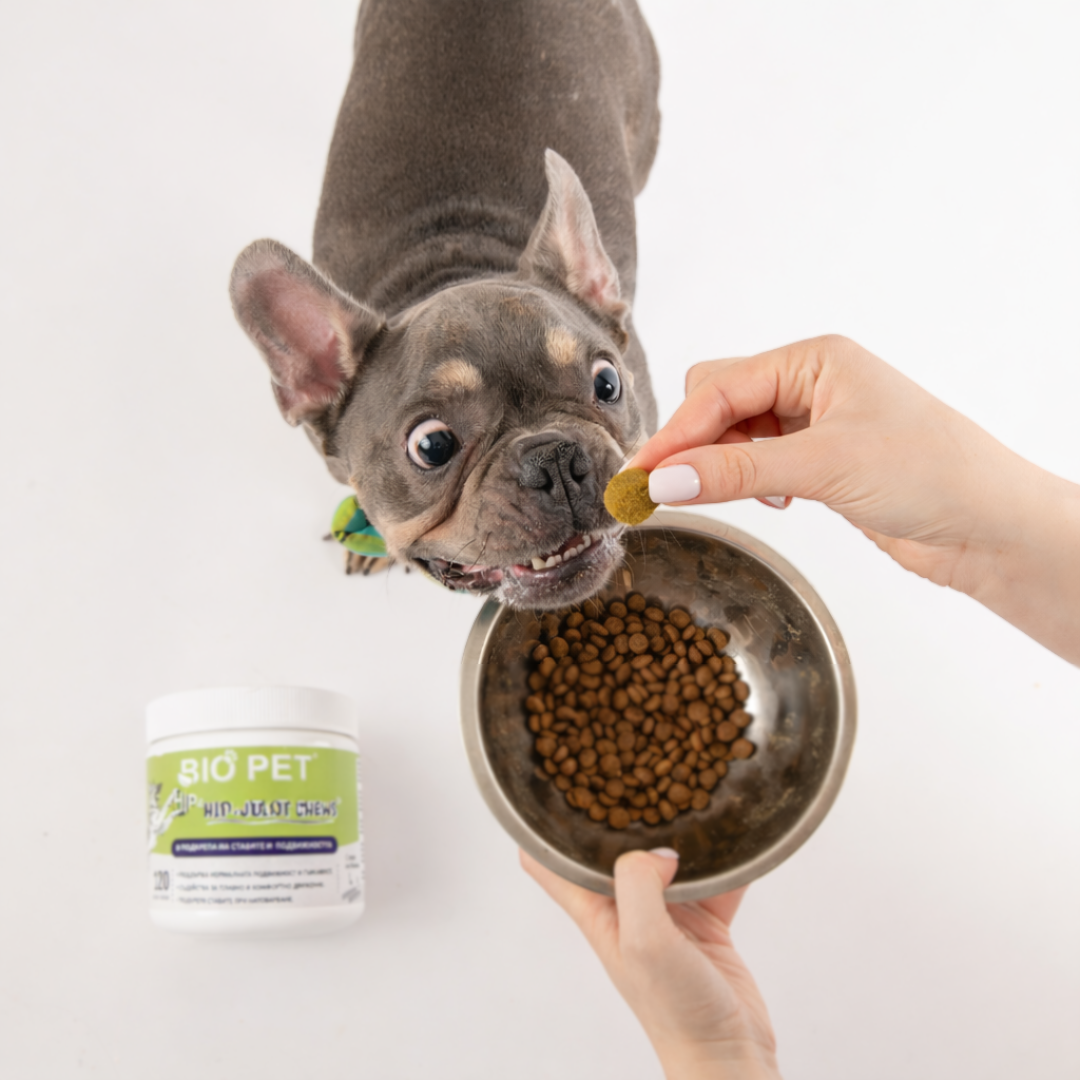 Hip and Joint Chews - 120 buc.