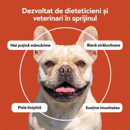 Recompense moi pentru susținerea pielii și a sistemului imunitar, 60 buc.