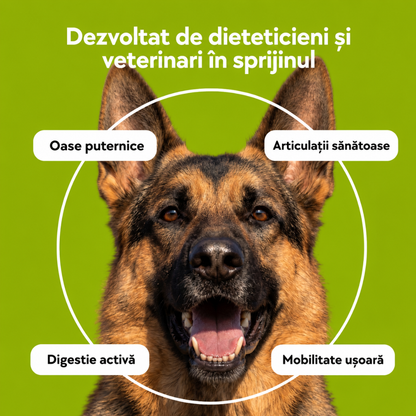Recompense moi pentru susținerea articulațiilor câinilor, 120 buc.