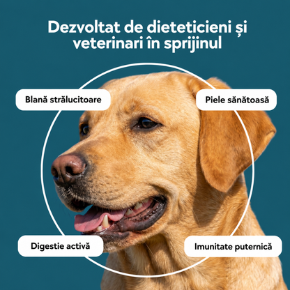 Ulei de somon 100% natural pentru câini și pisici, 250/500 ml