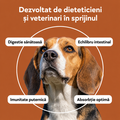 Pudră probiotică pentru digestia câinilor și pisicilor, 120 g