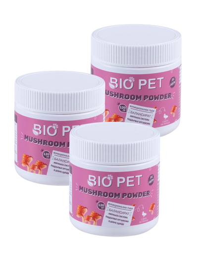 Mushroom Powder – 120 g