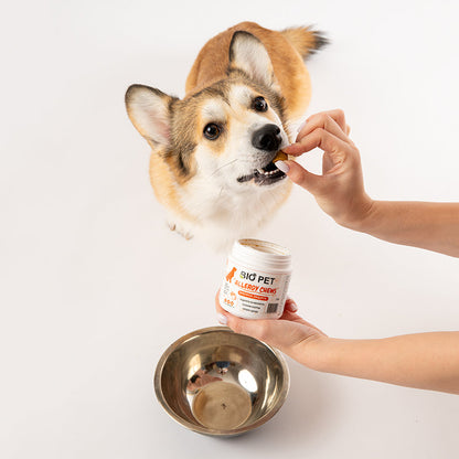Allergy chews- 60buc.