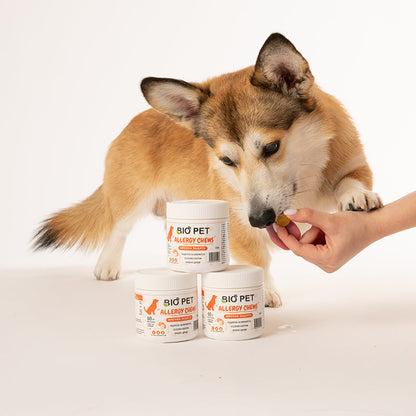 Allergy chews- 60buc.