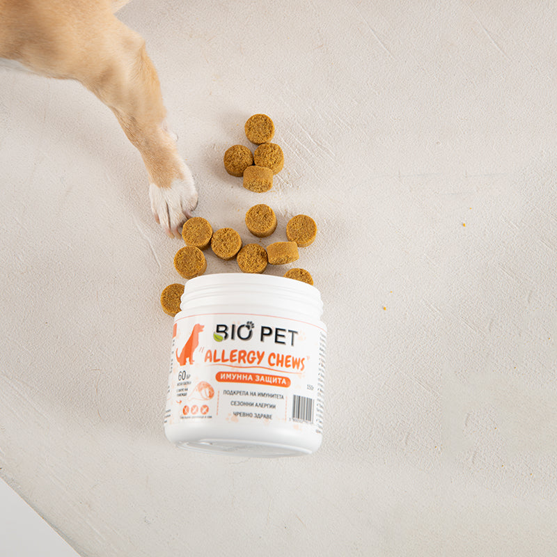 Allergy chews- 60buc.