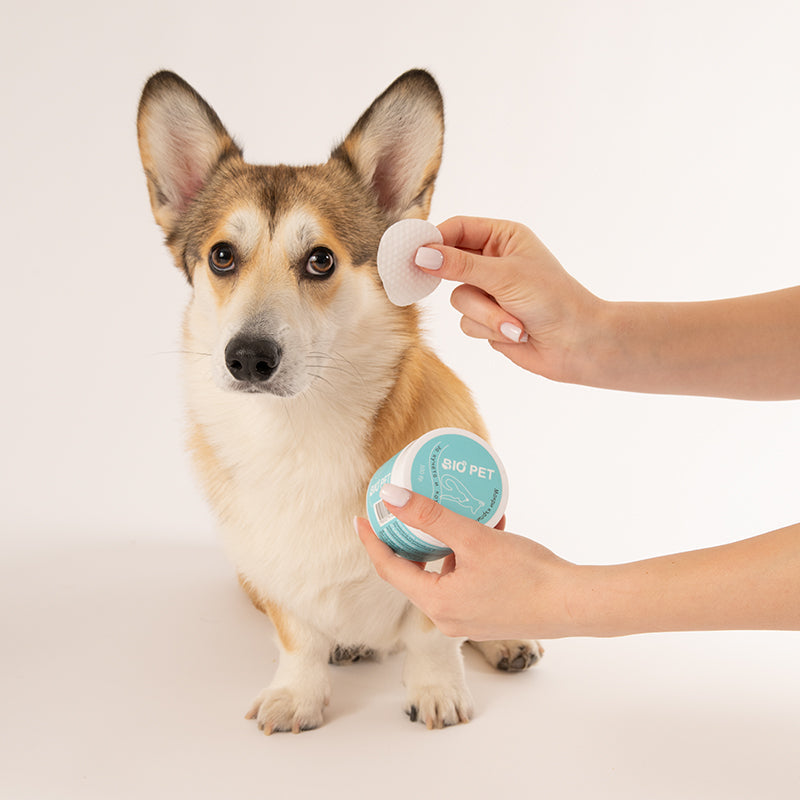 Bio_Pet__136_2.jpg
