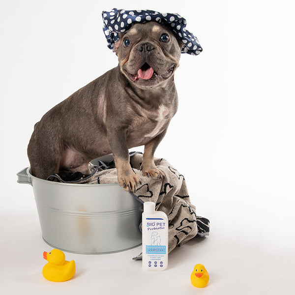 Bio_Pet__158_176eddd4-1736-480d-9f09-955d71113121.jpg