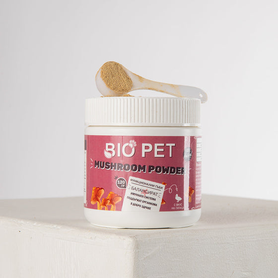 Mushroom Powder – 120 g