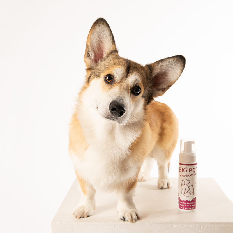 Bio_Pet__23_f22245a3-04d0-4400-b1eb-4dd5c00c5fff.jpg