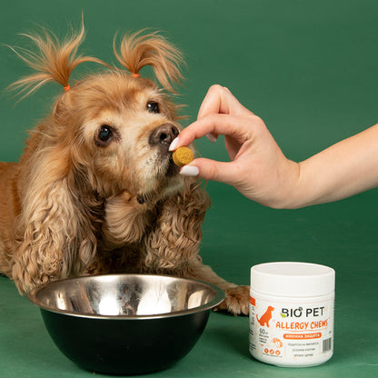 Allergy chews- 60buc.