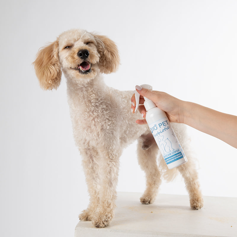 Balsam spray pentru pieptănare ușoară - 250 ml.