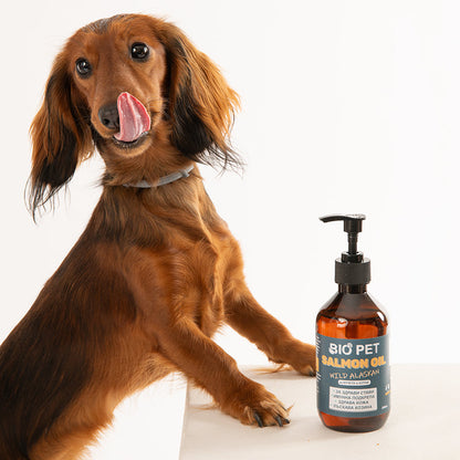 Salmon Oil -  Ulei de somon 100% natural