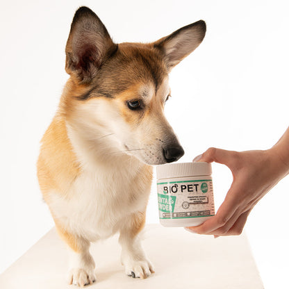 Dental powder-  120g.