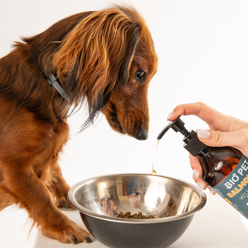 Salmon Oil -  Ulei de somon 100% natural