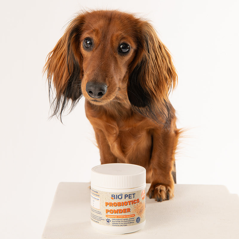 Probiotic powder - 120g.