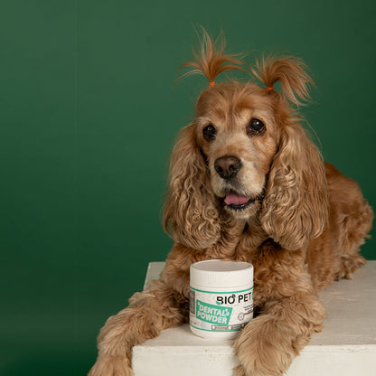 Dental powder-  120g.