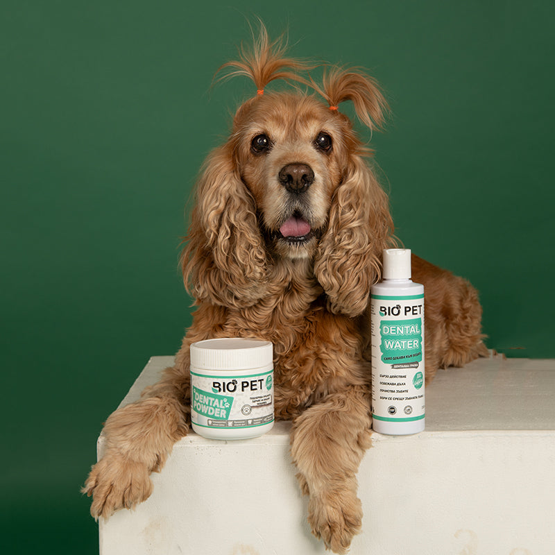 Bio_Pet__79_b44cc842-1f01-4811-9421-812a60b50076.jpg