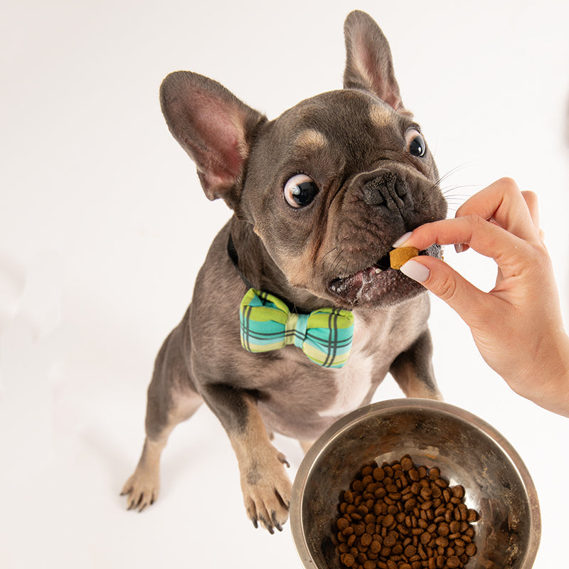 Allergy chews- 60buc.