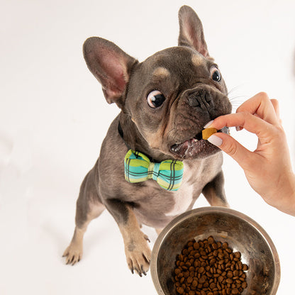 Allergy chews- 60buc.