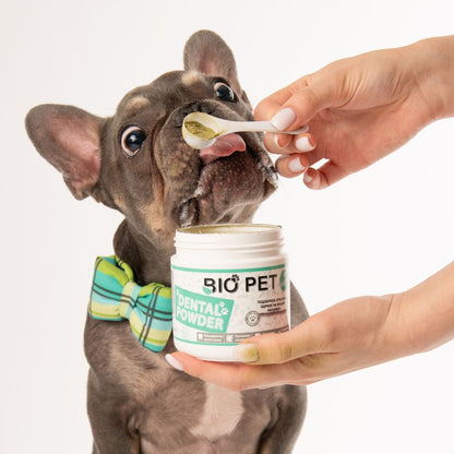 Dental powder- 3 la prețul de 2