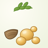 Extract de boswellia