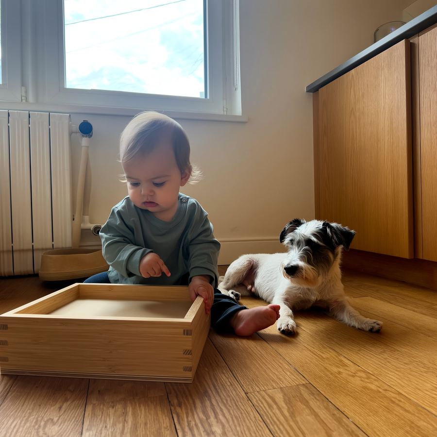 Câine care privește atent stăpânul lângă o cutie, iar o pisică nepăsătoare se uită în altă parte