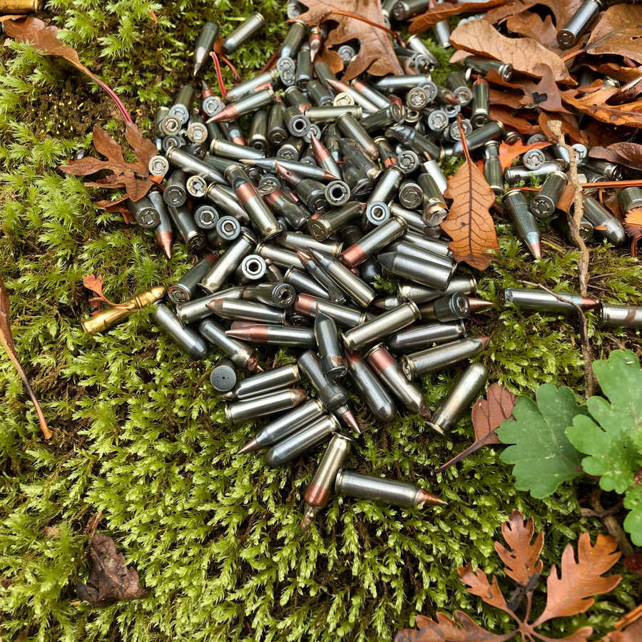 Câine în lesă pe o potecă de toamnă din jurul Sofiei, în zonă de vânătoare