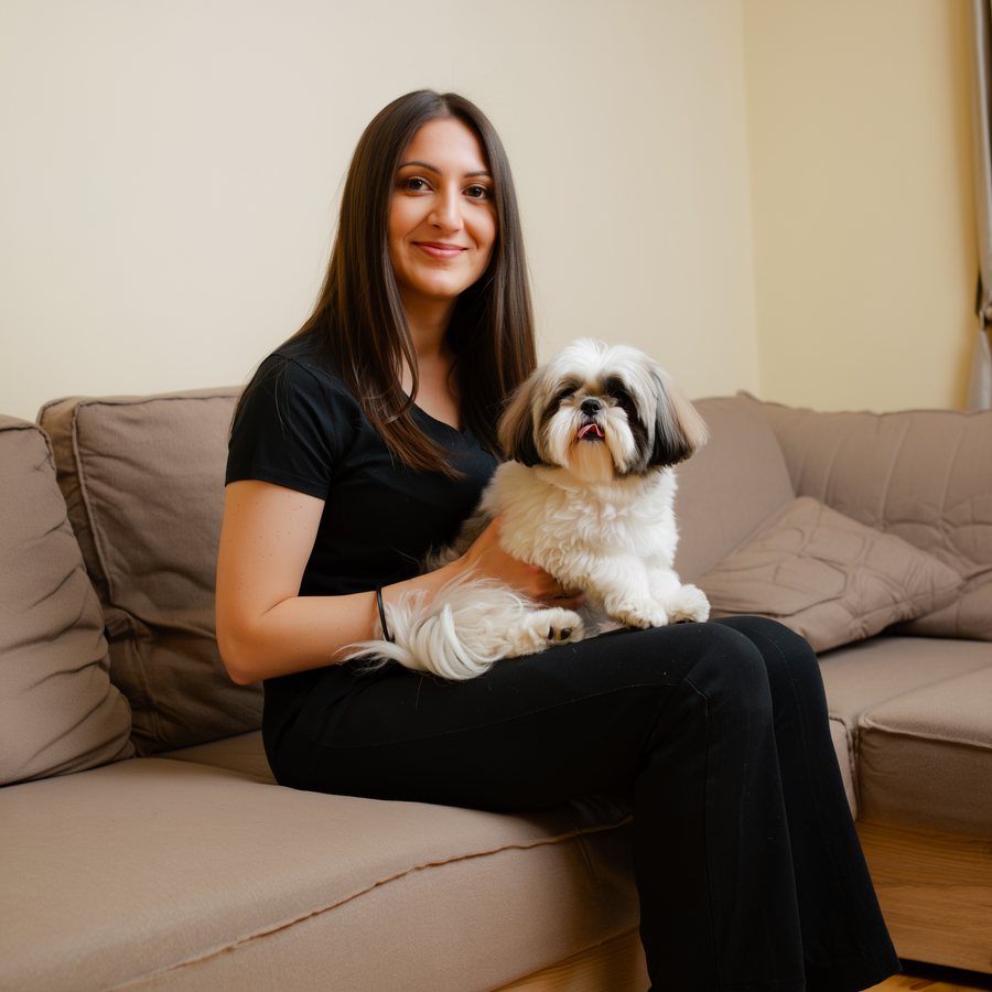 Shih tzu stă pe o bancă într-un parc din Sofia într-o dimineață cu ceață