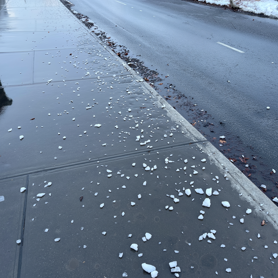 Labă de câine pe zăpadă proaspătă pe un trotuar urban iarna