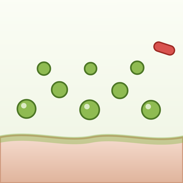 Microbiom echilibrat